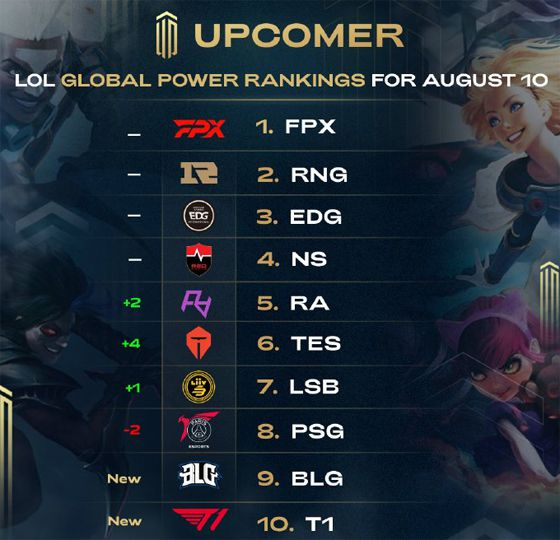 森林狼的内 森林狼的内